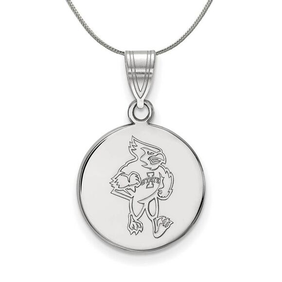 Sterling Silver Iowa State Medium Disc Necklace - 24 Inch - Picture 1 of 8